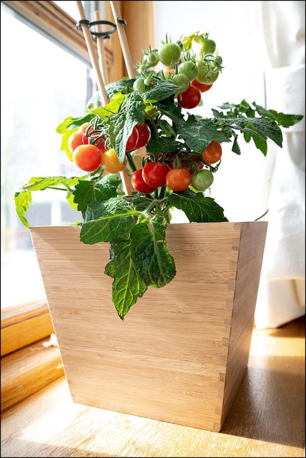 Markt Eins Gaestezimmer Schoppenstedt Ngoại thất bức ảnh